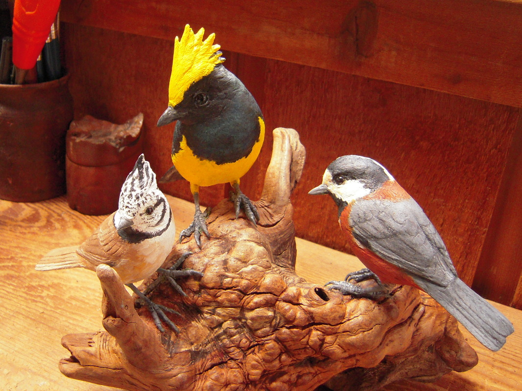 Crested, Sultan and Varied Tits